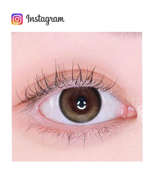 Lensme Qloring 1-Day Black (30P)