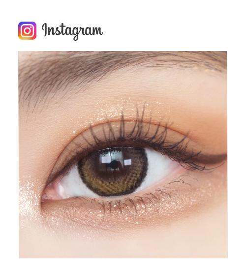 Lensme Qloring 1-Day Black (30P)