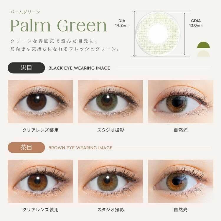 perse - 1 Day Palm Green (10P)