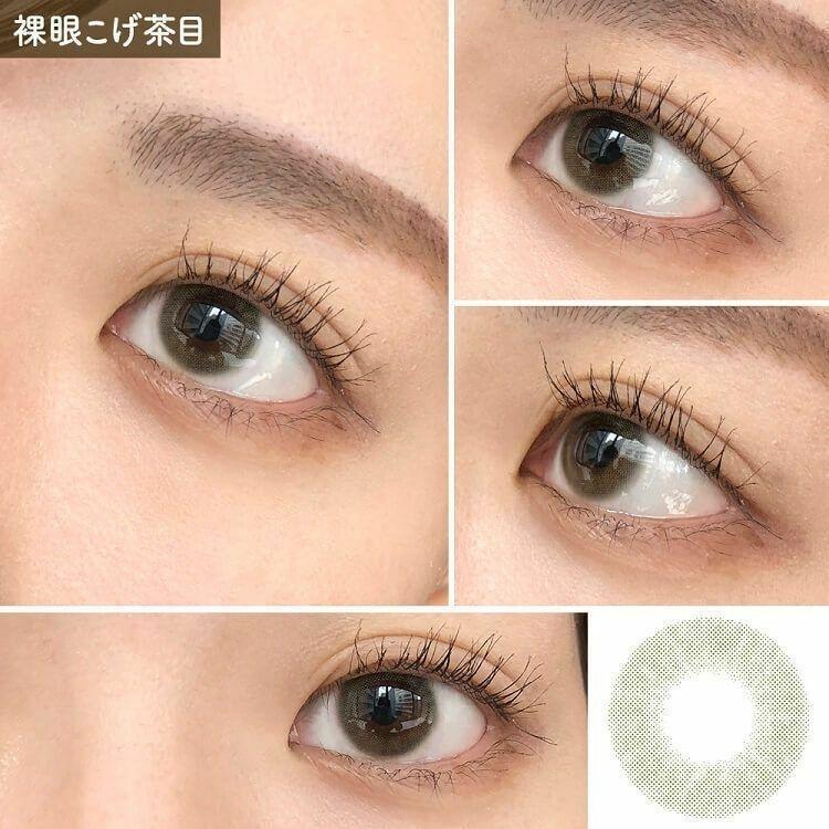 perse - 1 Day Palm Green (10P)