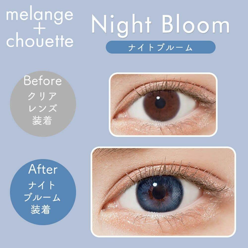 MELANGE chouette - 1 Day Night Bloom (10P)