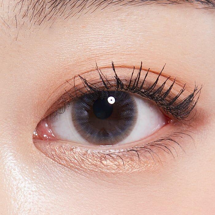 Lenstown Precollege Gray - 月con (2P)