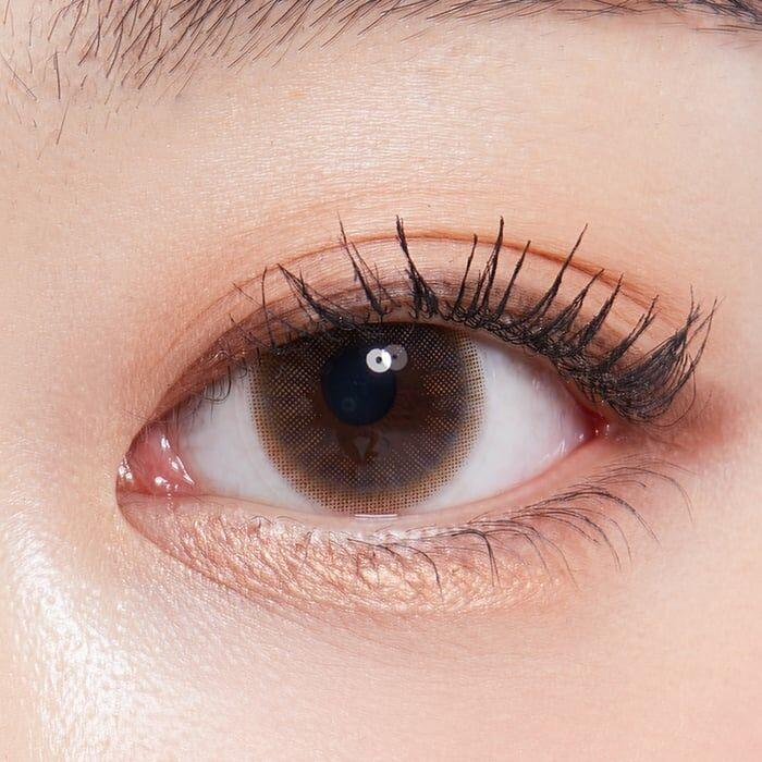 Lenstown Precollege Brown - 月con (2P)