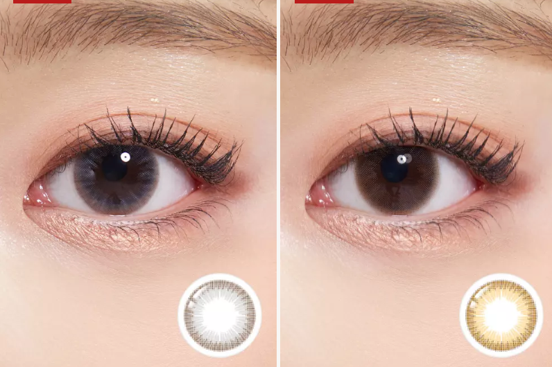 Lenstown Precollege Brown - 月con (2P)