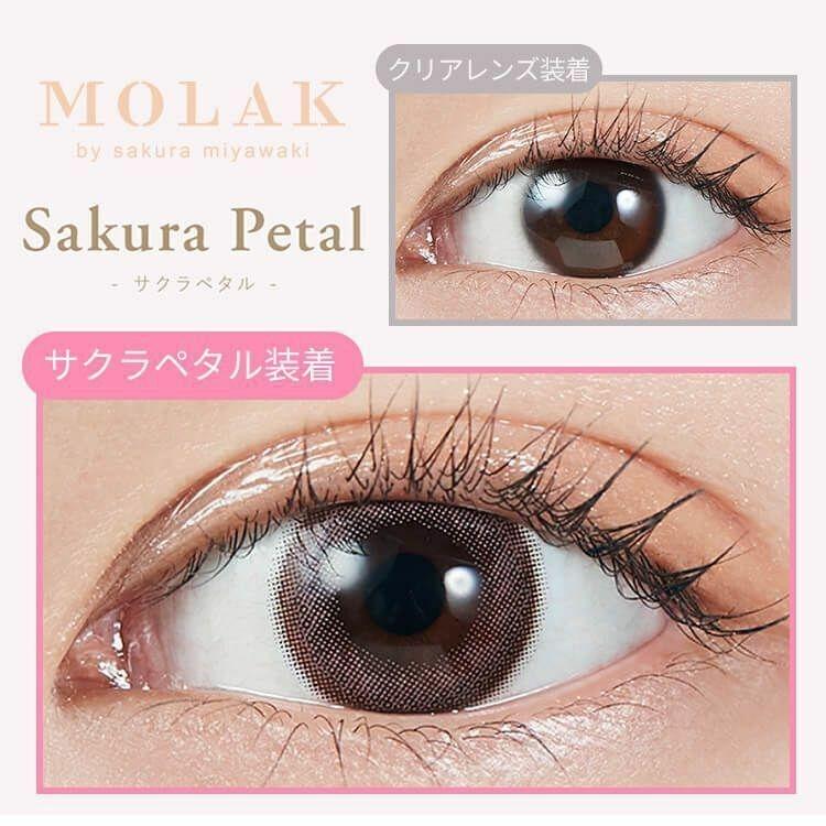 MOLAK - 1day Sakura Petal (10P)