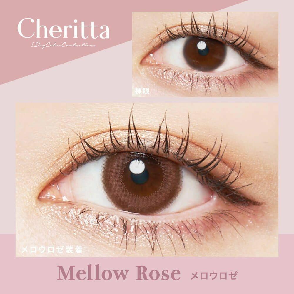 Cheritta - 1day Mellow Rose (10P)