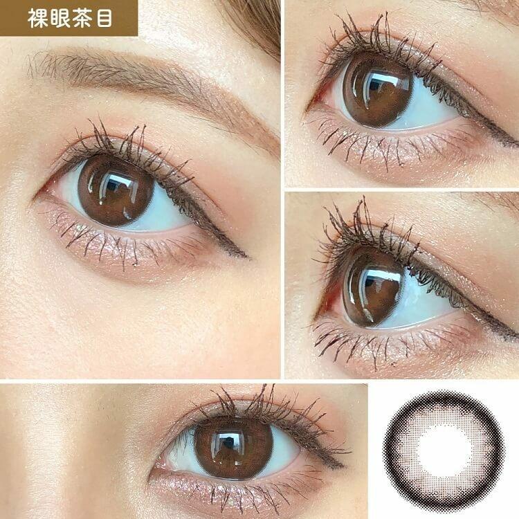 Bambi 1day - Cassis Brown (30P)