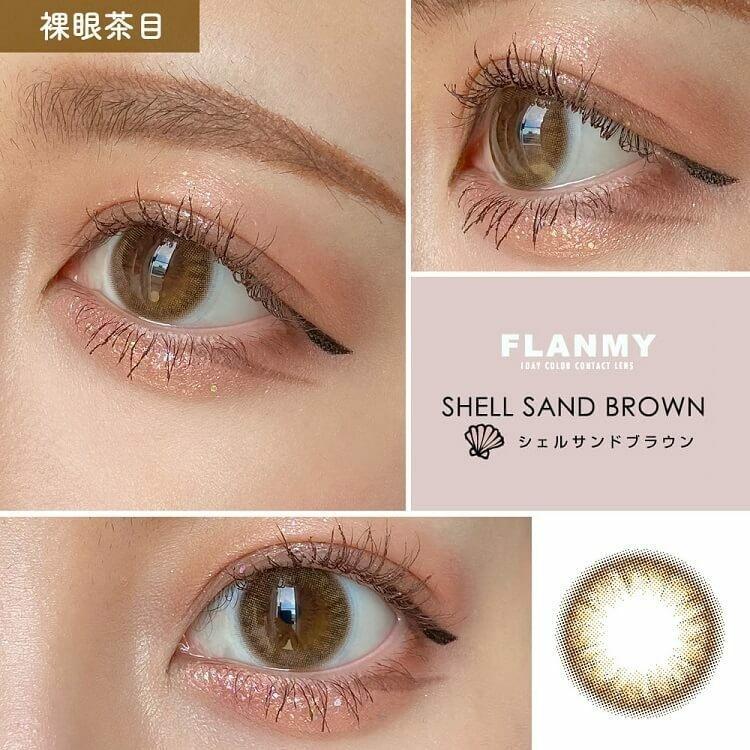 Flanmy 1 day - Shell series - Shell Sand Brown (30P)