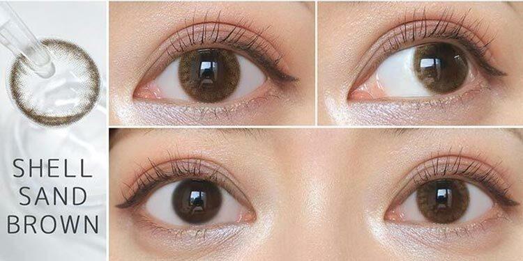 Flanmy 1 day - Shell series - Shell Sand Brown (30P)