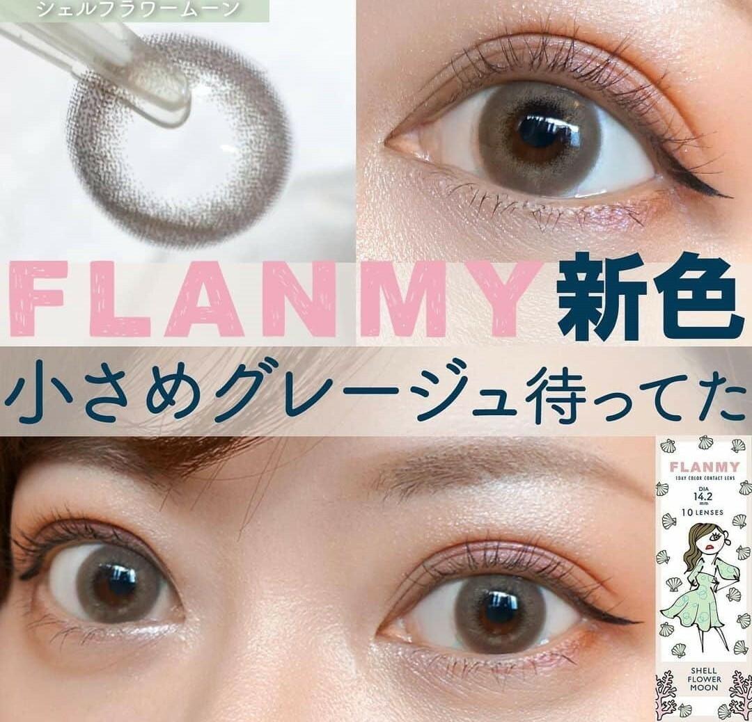 Flanmy 1 day - Shell series - Shell Flower Moon (30P)