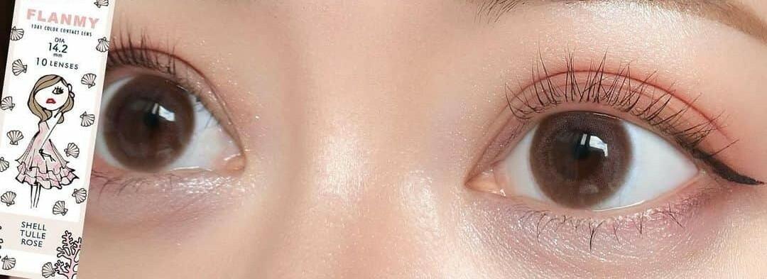 Flanmy 1 day - Shell series - Shell Tulle Rose (30P)