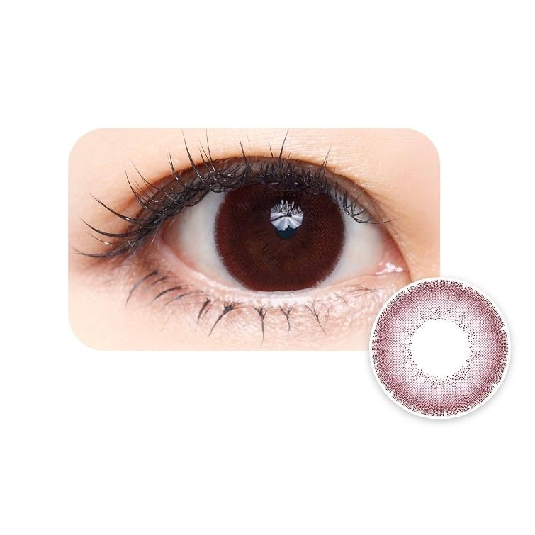 Kukka 1 Day - Rose Hazel (10P)