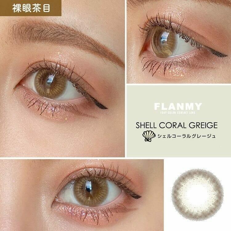 Flanmy 1 day - Shell series - Shell Coral Greige (10P)