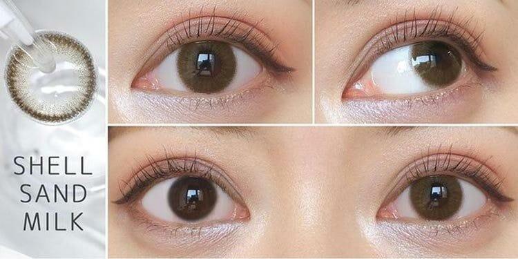 Flanmy 1 day - Shell series - Shell Sand Milk (10P)