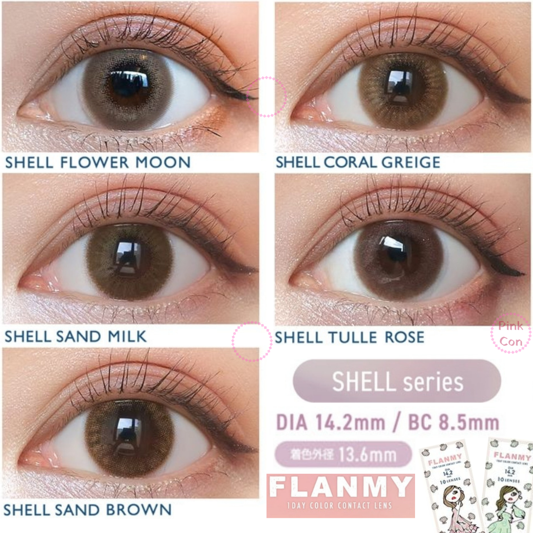 Flanmy 1 day - Shell series - Shell Sand Milk (10P)