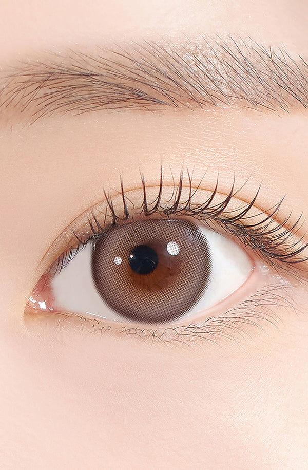 Hapa Kristin - Sugar High Kristin 1Day Ash Choco  (10P)