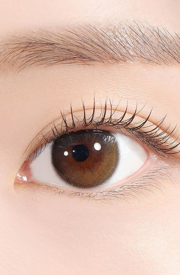 Hapa Kristin - Secretive Kristin 1Day Dusk Brown  (10P)