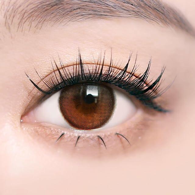 I SHA - ORIANA Shade Brown - 月con