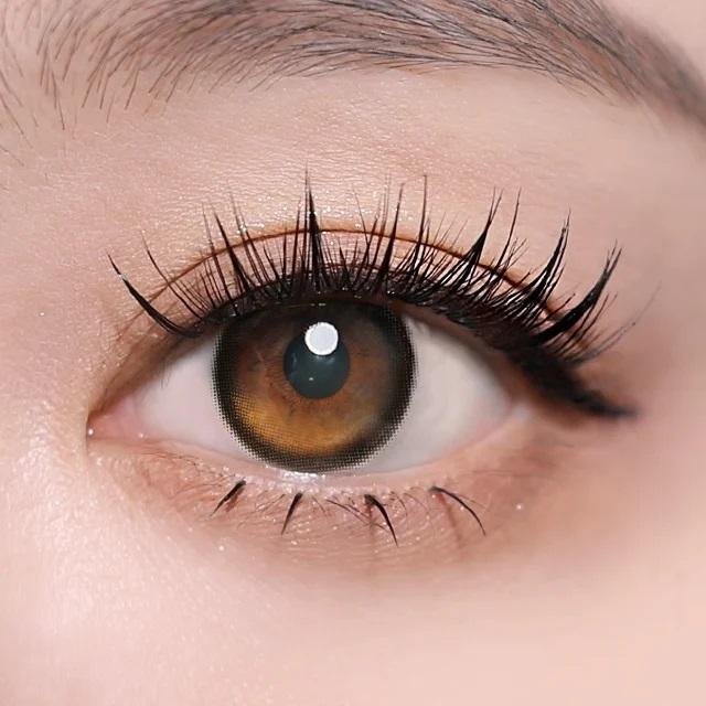 I-SHA - ORIANA EDGE PLUS GRAY 1DAY (10P)