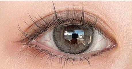 Molak Toric 散光 1day - DAZZLE GRAY