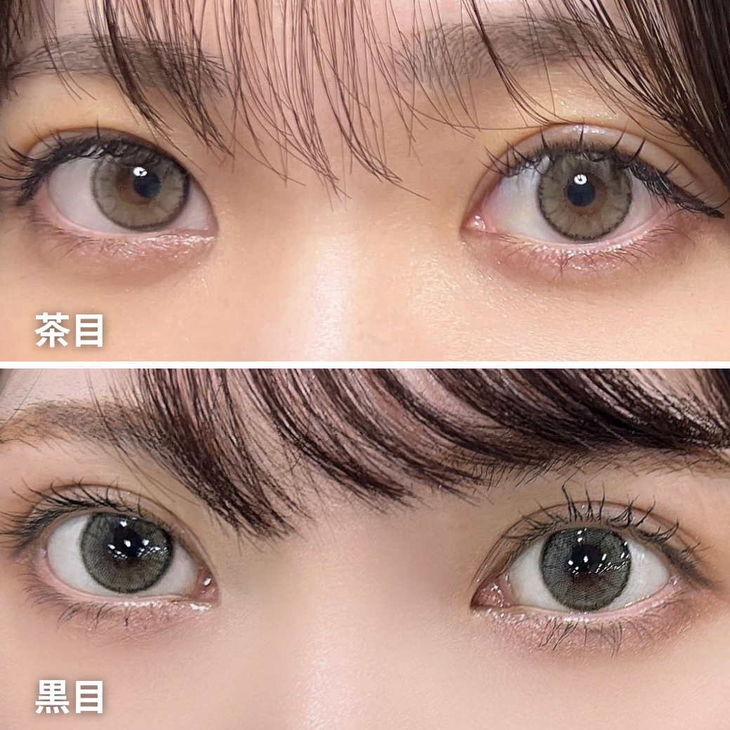 Molak Toric 散光 1day - DAZZLE GRAY