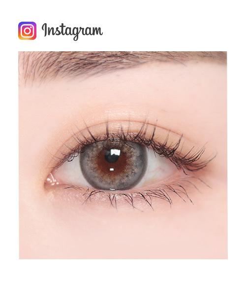 Lensme ALOHA BLOOM GRAY-月con