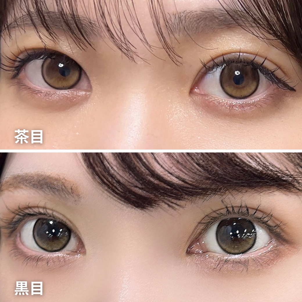 Molak Toric 散光 1day - DOLLISH BROWN