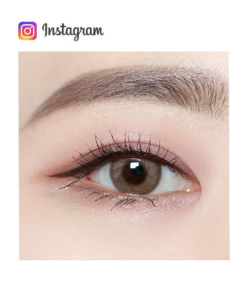 Lensme BLOOMING DREAM BROWN -月con