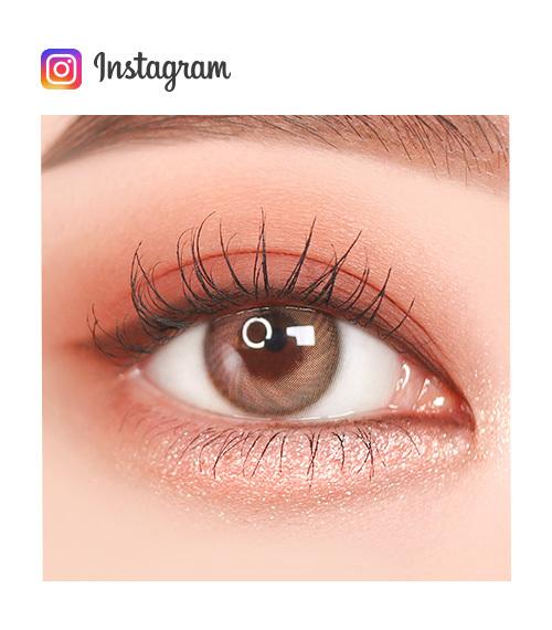 Lensme BLOOMING DREAM BROWN -月con