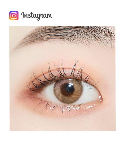 Lensme BLOOMING DREAM BROWN -月con