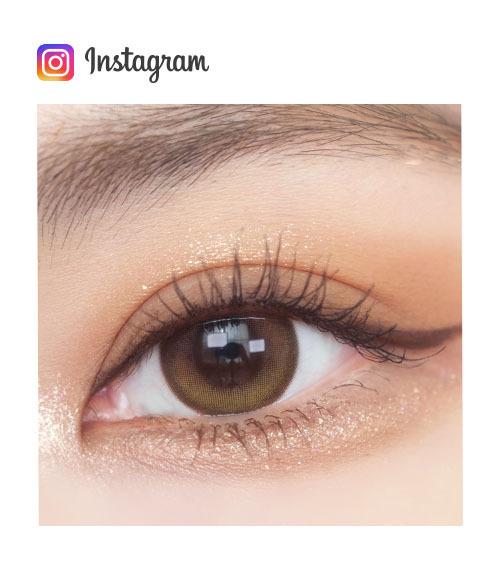 Lensme Qloring 1-Day Brown (30P)