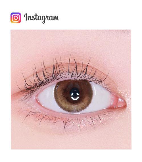 Lensme Qloring 1-Day Brown (30P)