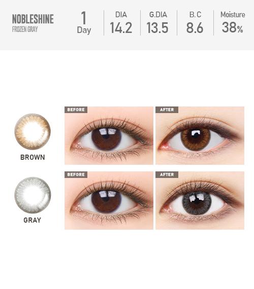 Lensme NOBLE SHINE FROZEN 1-DAY GRAY (20P)