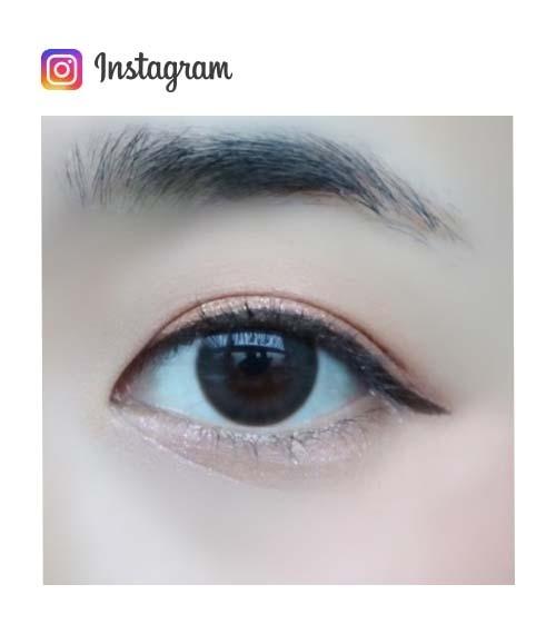 Lensme COCKTAIL 1-DAY ASH GRAY (20P)