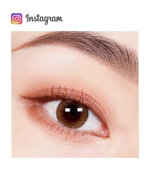 Lensme AKMA 1-DAY HOLORIS GINGER BROWN (30P)