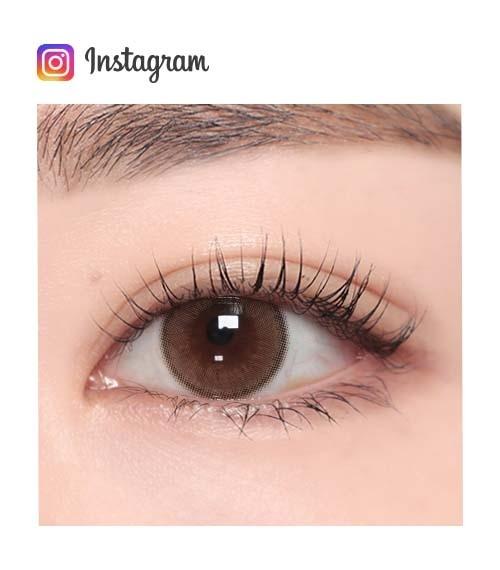 Lensme AKMA 1-DAY HOLORIS GINGER BROWN (30P)