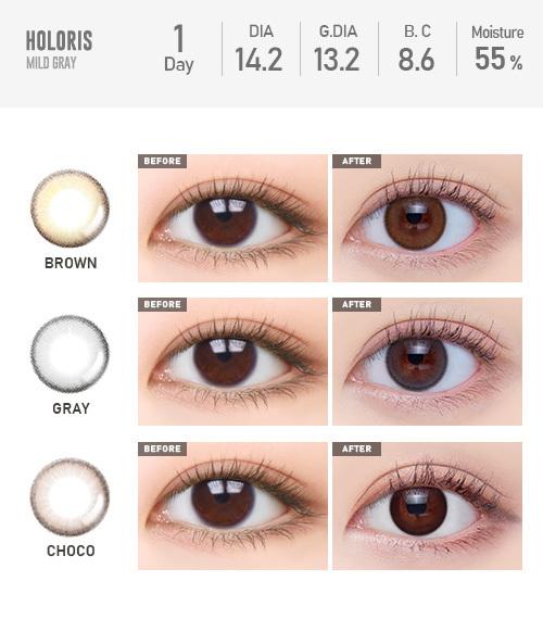 Lensme AKMA 1-DAY HOLORIS MILD GRAY (30P)