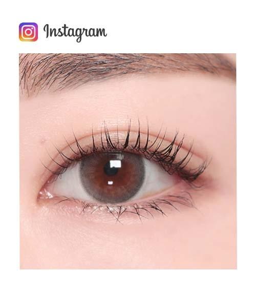 Lensme AKMA 1-DAY HOLORIS MILD GRAY (30P)