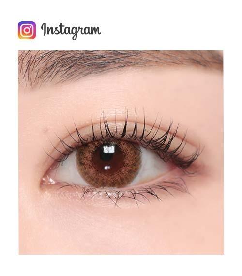 Lensme Realfit 3Color 1 Day Brown (30P)