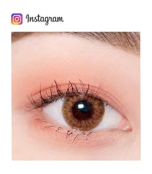 Lensme Realfit 3Color 1 Day Brown (30P)