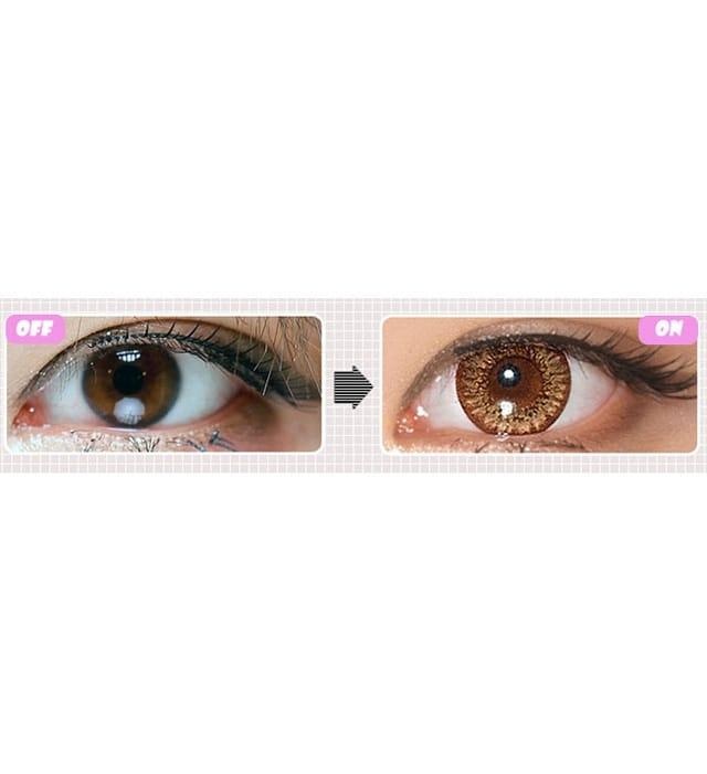 Lenstown Champange Brown Toric 散光 - 月 con