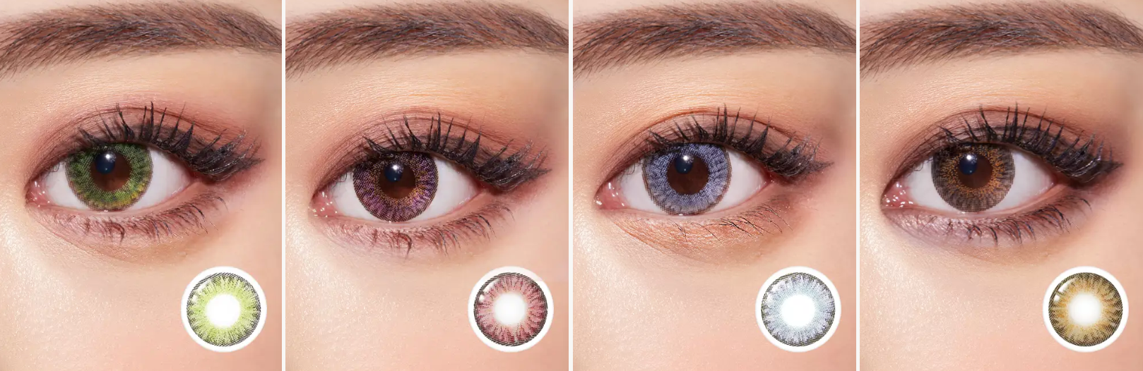 Lenstown Swan Choco - 月con (2P)