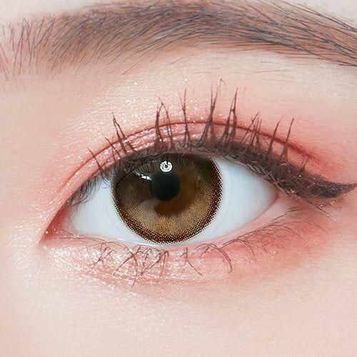 Lenstown To better 1 Day Brown (10P)