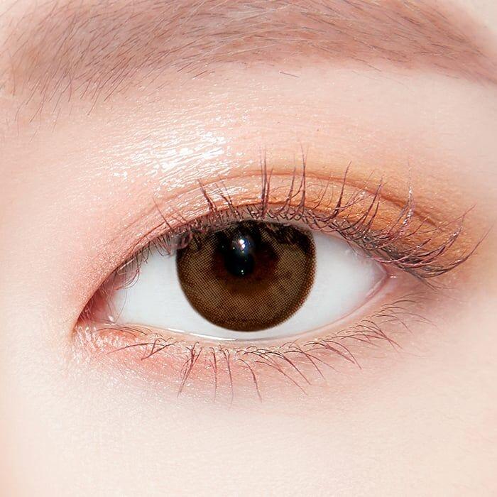 Lenstown Chocolato 1 Day Choco Brown (10P)