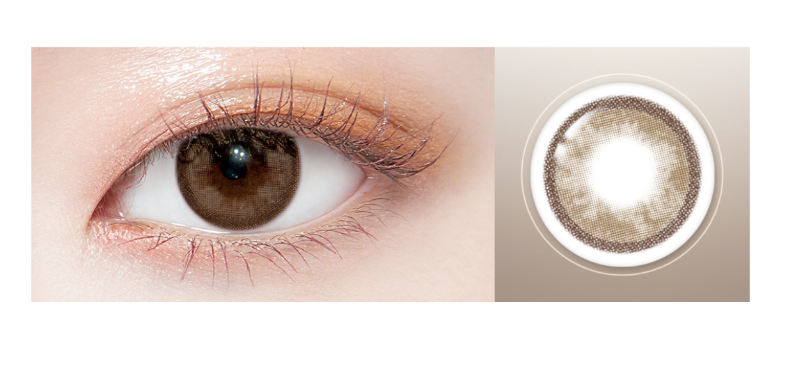 Lenstown Chocolato 1 Day Choco Brown (10P)