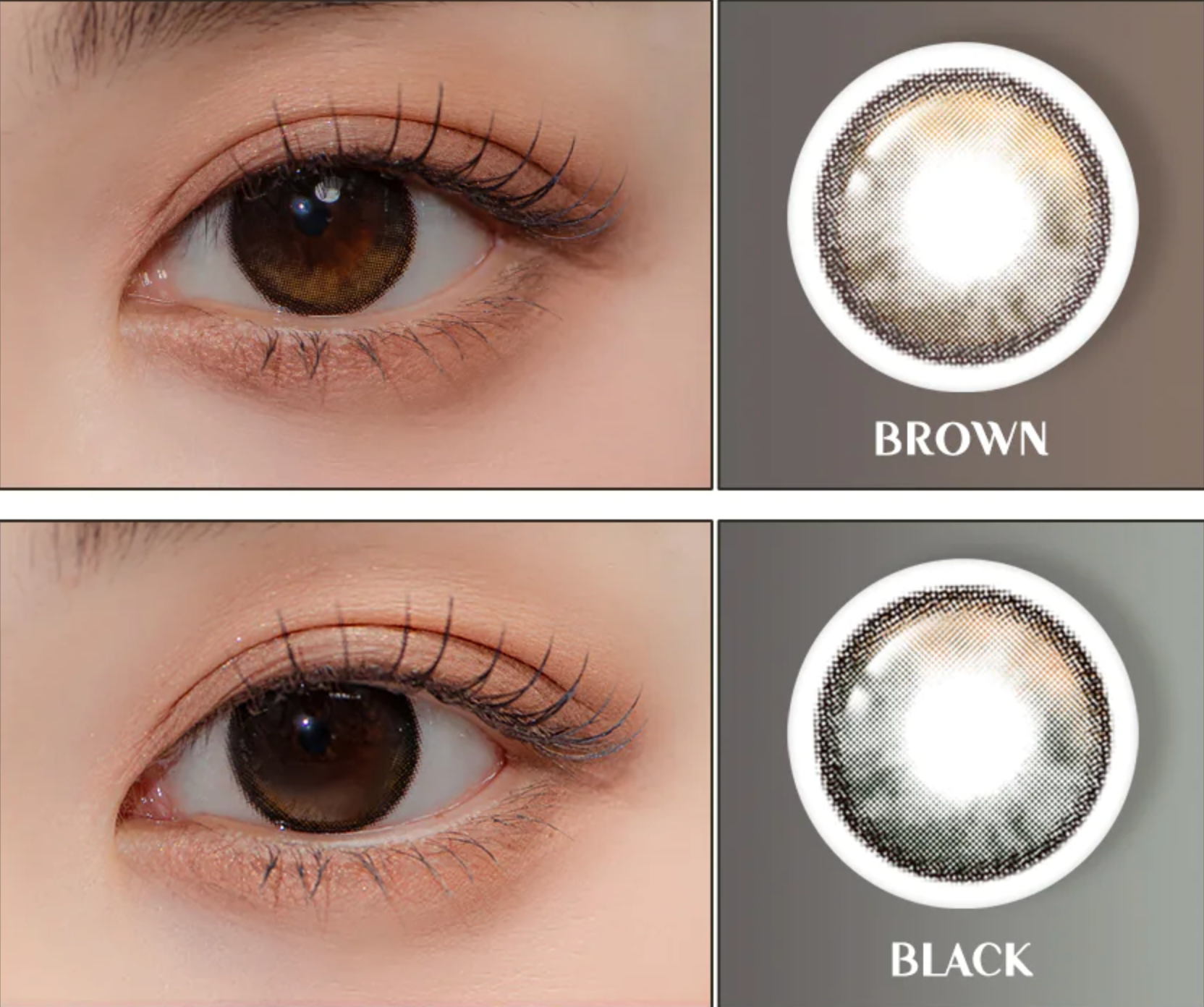 Lenstown To better Big 1 Day Brown (10P)