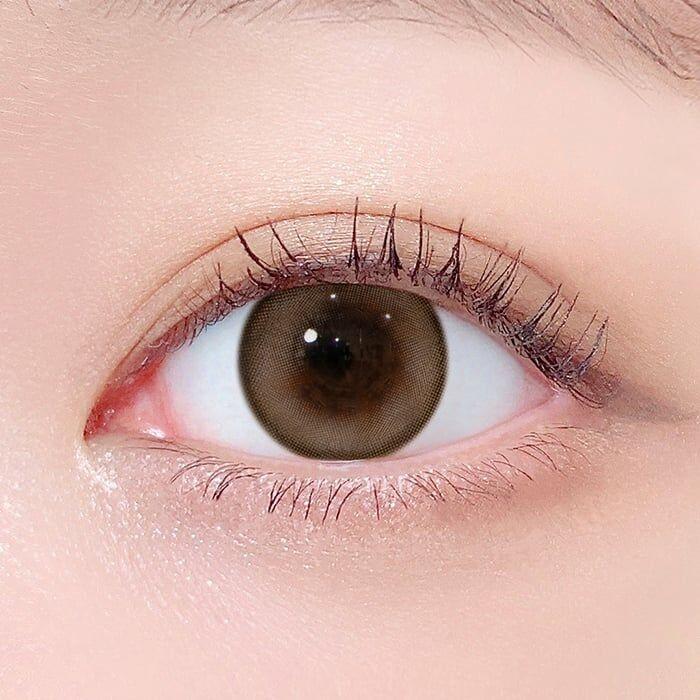 Lenstown 24／7 Bom 1 Day Brown (10P)