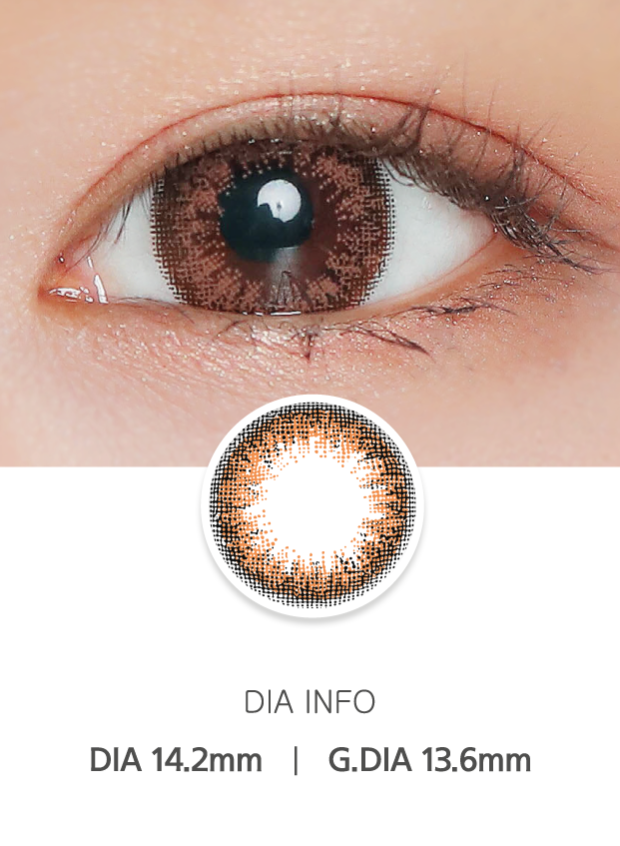 Ann365 Add Brown - 月con (2p)