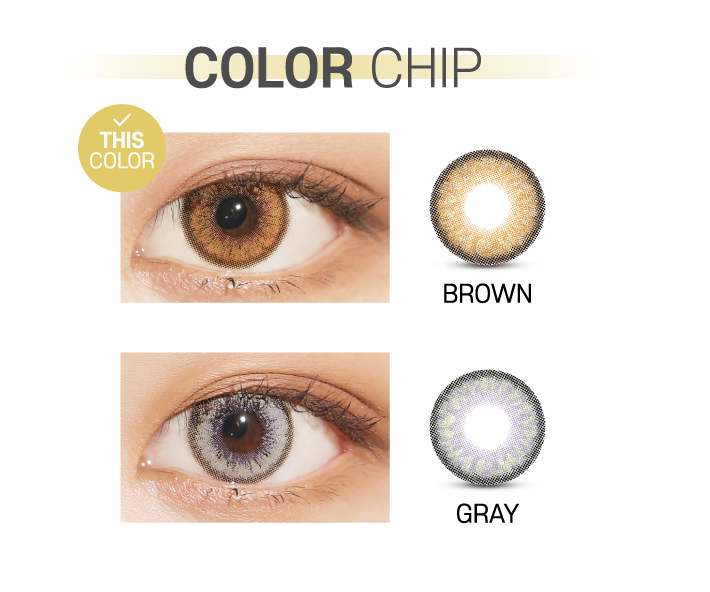 Ann365 Venti Ann Brown - 月con (2p)