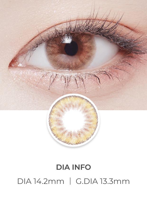 Lensvery Lsome Brown - 月con (2p)